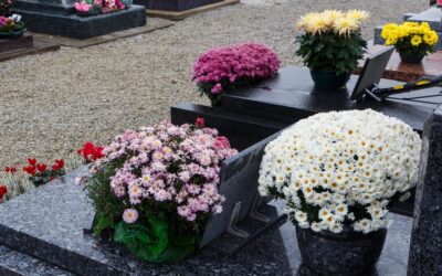 Jak prawidłowo pielęgnować kwiaty na grobach przez cały rok?